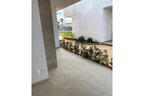 Apartment à vendre à Pilar de la Horadada, Alicante, Espagne, 2 chambres,  No. 160701 - photo 5