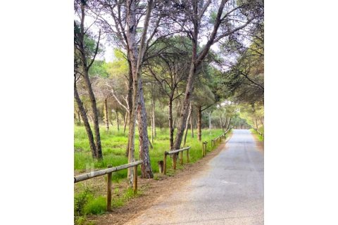 Apartment à vendre à Guardamar del Segura, Alicante, Espagne, 3 chambres, 102 m2 No. 160702 - photo 29