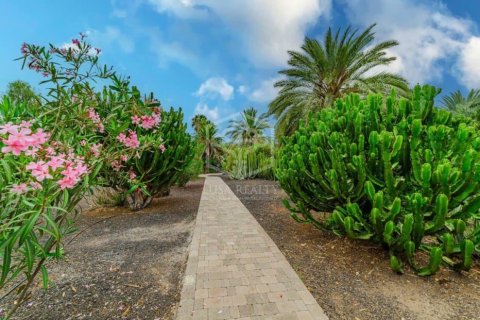 Villa till salu Adeje, Tenerife, Spanien 3 sovrum, 148 kvm. Nr. 139105 - foto 3