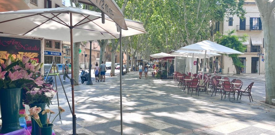 Apartment Palma de Majorca, Mallorca, Spain 4 bedrooms, 176 sq.m. No. 139109