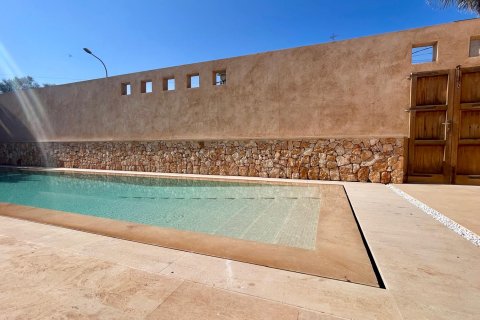 Kamienica w Ses Salines, Mallorca, Hiszpania 3 sypialnie, 402 mkw. nr 139110 – zdjęcie 28