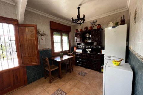 Apartament San Vicente del Raspeig, Alicante, Hiszpania 180 mkw. nr 116845 – zdjęcie 11