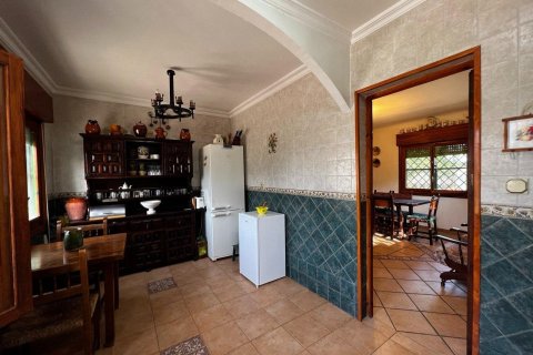 Apartament San Vicente del Raspeig, Alicante, Hiszpania 180 mkw. nr 116845 – zdjęcie 12