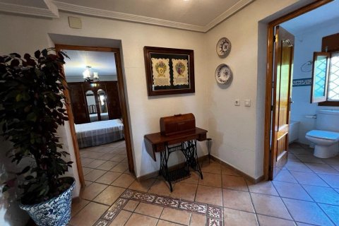 Apartament San Vicente del Raspeig, Alicante, Hiszpania 180 mkw. nr 116845 – zdjęcie 21