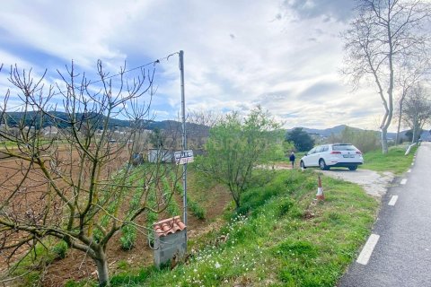 Продажа земельного участка в Виланова-дель-Вальес, Барселона, Испания №191291 - фото 21
