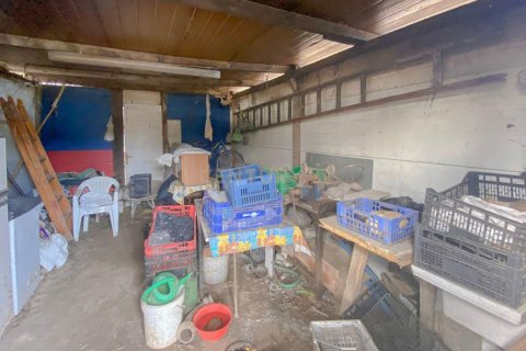 Продажа земельного участка в Виланова-дель-Вальес, Барселона, Испания №191291 - фото 13