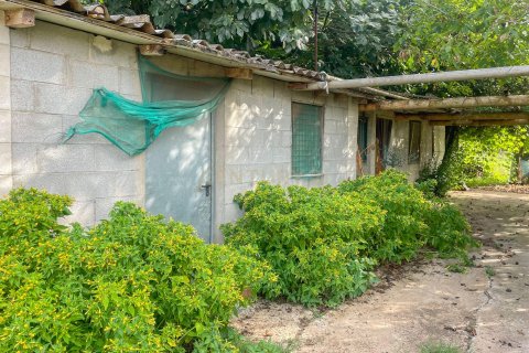 Продажа земельного участка в Виланова-дель-Вальес, Барселона, Испания №191291 - фото 5