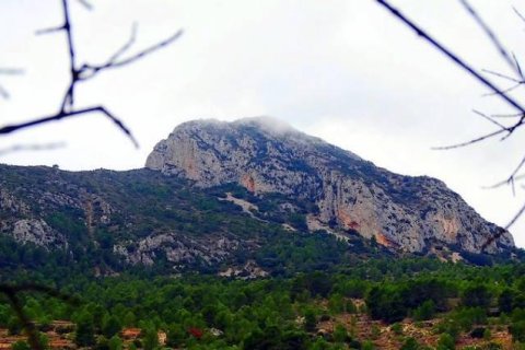 Huvila myytävänä La Romana, Alicante, Espanja, 2 makuuhuonetta, 123 m2 No. 142367 - kuva 14