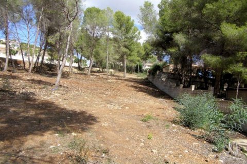 Działka Moraira, Alicante, Hiszpania nr 80551 – zdjęcie 3