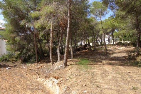 Działka Moraira, Alicante, Hiszpania nr 80551 – zdjęcie 2