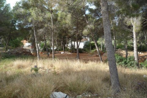 Działka Moraira, Alicante, Hiszpania nr 80551 – zdjęcie 4