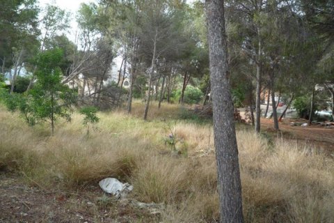 Działka Moraira, Alicante, Hiszpania nr 80551 – zdjęcie 5