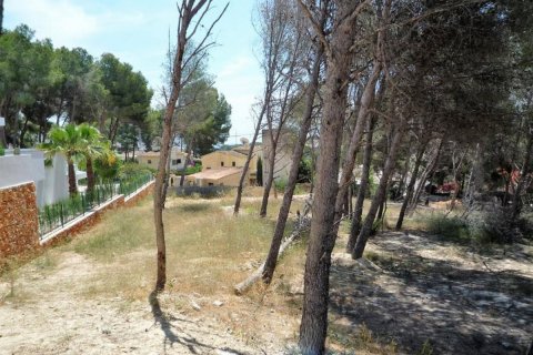 Działka Moraira, Alicante, Hiszpania nr 80551 – zdjęcie 1