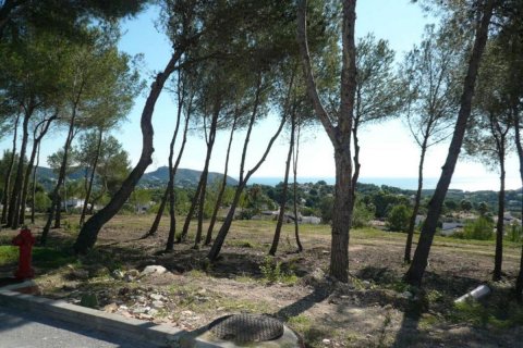 Land plot for sale Moraira, Alicante, Spain No. 80550 - photo 9