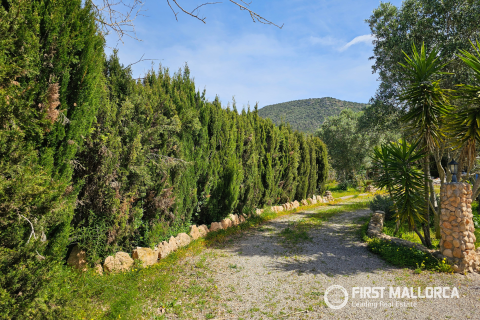 Finca in affitto a Llucmajor, Mallorca, Spagna 4 camere da letto, 129 mq. N° 166711 - foto 20