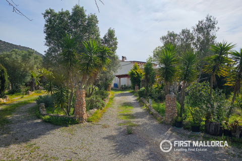 Finca in affitto a Llucmajor, Mallorca, Spagna 4 camere da letto, 129 mq. N° 166711 - foto 16
