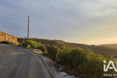 Land plot à La Bisbal Del Penedes, Tarragona, Espagne 800 m2 No. 195734