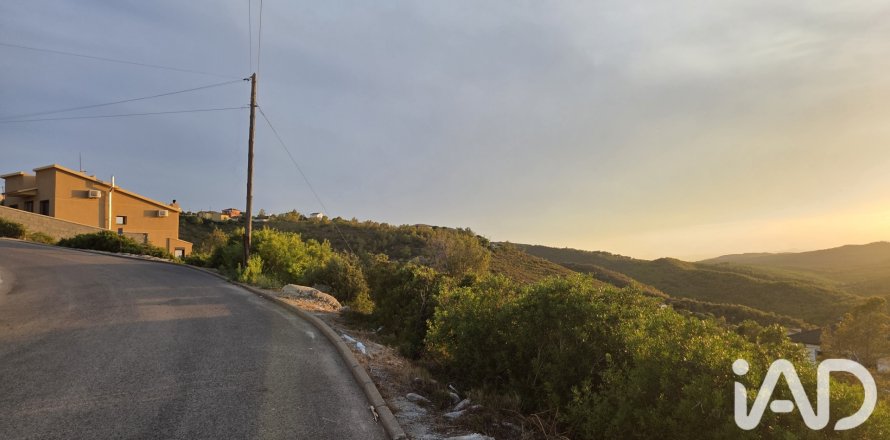 Land plot à La Bisbal Del Penedes, Tarragona, Espagne 800 m2 No. 195734