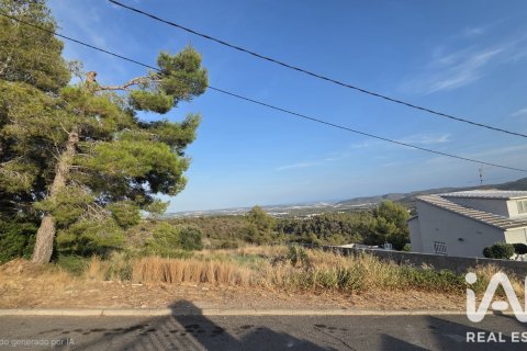 Land plot à vendre à La Bisbal Del Penedes, Tarragona, Espagne, 567 m2 No. 195736 - photo 5