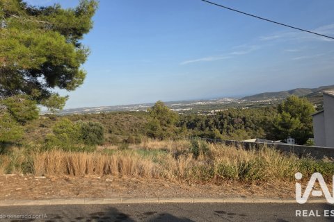 Land plot à La Bisbal Del Penedes, Tarragona, Espagne 567 m2 No. 195736