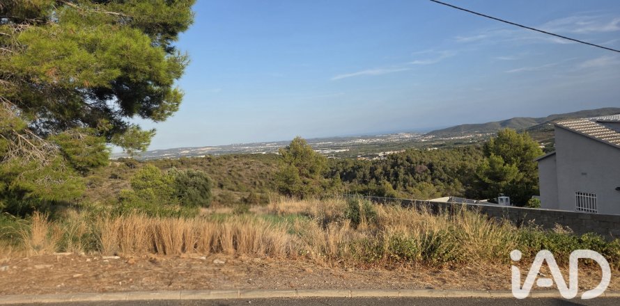 Land plot à La Bisbal Del Penedes, Tarragona, Espagne 567 m2 No. 195736