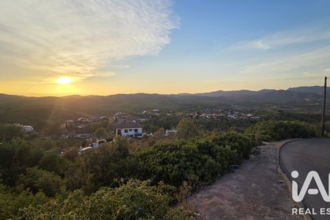 Land plot à vendre à La Bisbal Del Penedes, Tarragona, Espagne, 800 m2 No. 195735 - photo 3