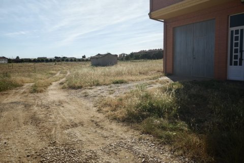 Land zum Verkauf in Valderas, Leon, Spanien 3762 m2 Nr. 188015 - Foto 8