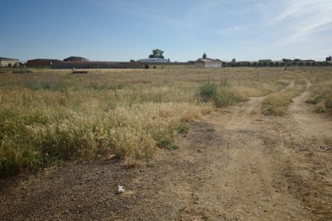 Land zum Verkauf in Valderas, Leon, Spanien 3762 m2 Nr. 188015 - Foto 4