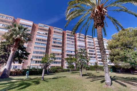 Apartamento en venta en San Juan, Alicante, España 3 dormitorios,  No. 142977 - foto 17