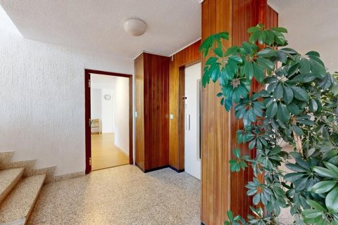 Apartamento en venta en San Juan, Alicante, España 3 dormitorios,  No. 142977 - foto 19