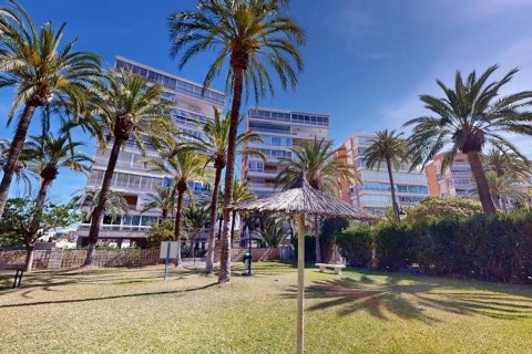 Apartamento en venta en San Juan, Alicante, España 3 dormitorios,  No. 142977 - foto 16