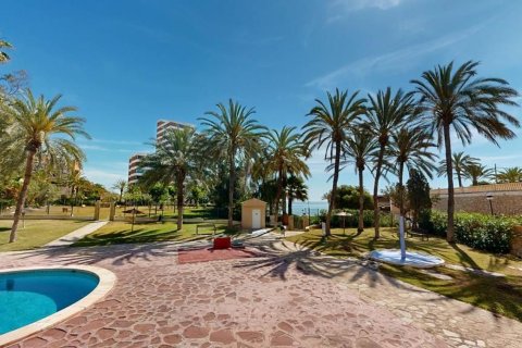 Apartamento en venta en San Juan, Alicante, España 3 dormitorios,  No. 142977 - foto 20