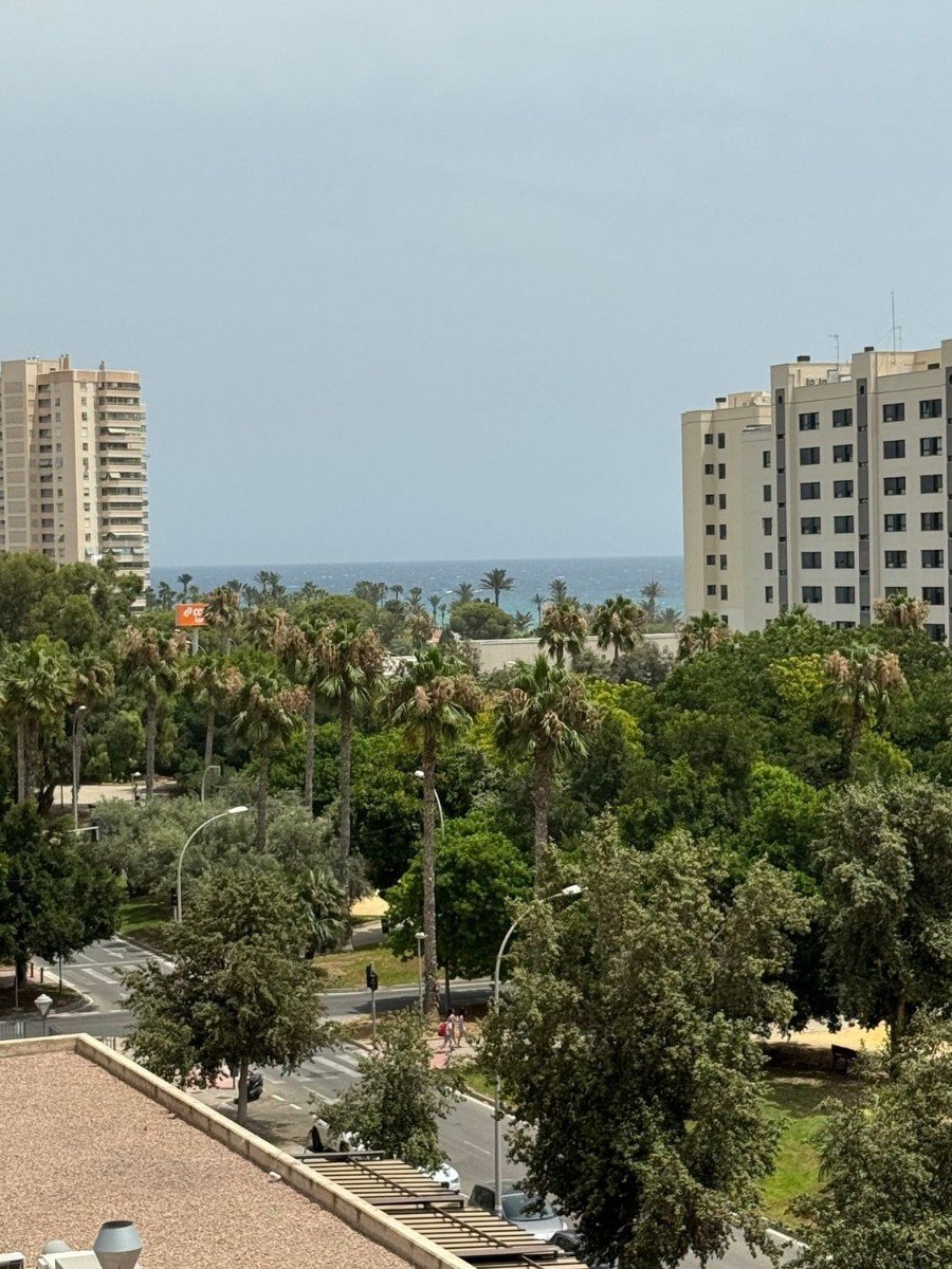 Apartment à San Juan, Alicante, Espagne 3 chambres, 130 m2 No. 142978