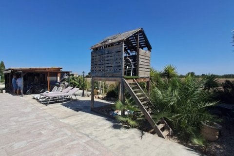 Продажа виллы в Долорес, Аликанте, Испания 6 спален, 250м2 №196999 - фото 13