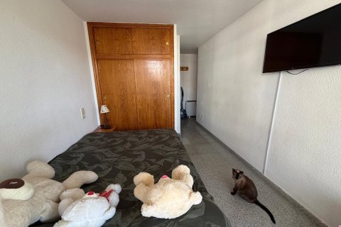 Appartamento in vendita a Guardamar del Segura, Alicante, Spagna 3 camere da letto, 108 mq. N° 195628 - foto 8