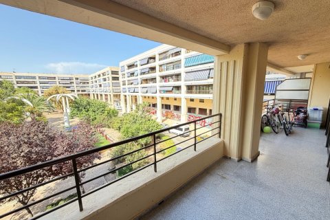 Appartamento in vendita a Guardamar del Segura, Alicante, Spagna 3 camere da letto, 108 mq. N° 195628 - foto 2