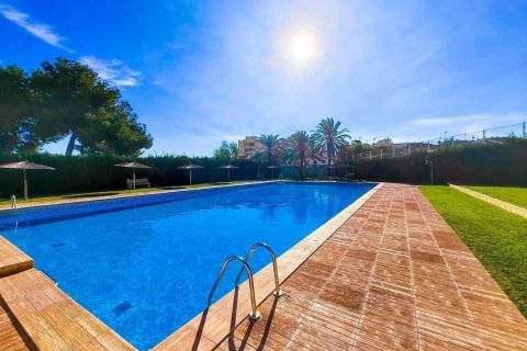 Penthauss pārdošanā Torrevieja, Alicante, Spānijā 1 istaba, 41 m2 Nr. 195630 - attēls 9
