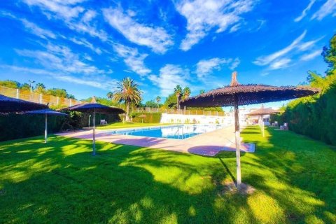 Penthauss pārdošanā Torrevieja, Alicante, Spānijā 1 istaba, 41 m2 Nr. 195630 - attēls 4
