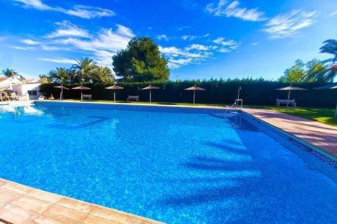 Penthauss pārdošanā Torrevieja, Alicante, Spānijā 1 istaba, 41 m2 Nr. 195630 - attēls 2