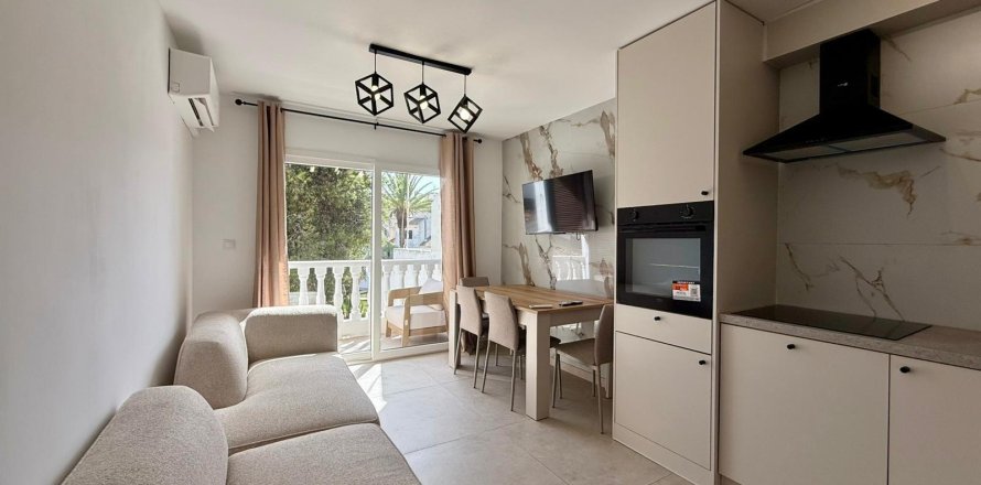 Penthauss Torrevieja, Alicante, Spānijā 1 istaba, 41 m2 Nr. 195630