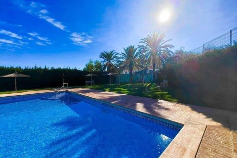 Penthauss pārdošanā Torrevieja, Alicante, Spānijā 1 istaba, 41 m2 Nr. 195630 - attēls 10