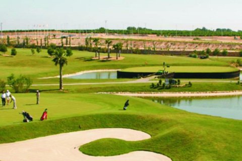 Bungalowi myytävänä Pilar de la Horadada, Alicante, Espanja, 3 makuuhuonetta, 67 m2 No. 141922 - kuva 11