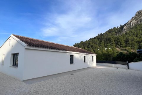 Huvila myytävänä Penaguila, Alicante, Espanja, 3 makuuhuonetta, 161 m2 No. 133942 - kuva 21