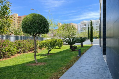 Huoneisto myytävänä Palmanova, Mallorca, Espanja, 4 makuuhuonetta, 142 m2 No. 180183 - kuva 24