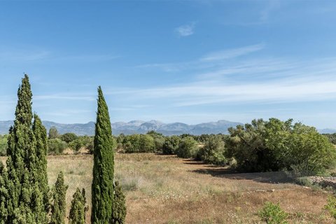 Villa in vendita a Santa Eugenia, Mallorca, Spagna 5 camere da letto, 601 mq. N° 180185 - foto 15