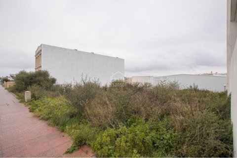 Działka w Alaior, Menorca, Hiszpania nr 183240 – zdjęcie 3