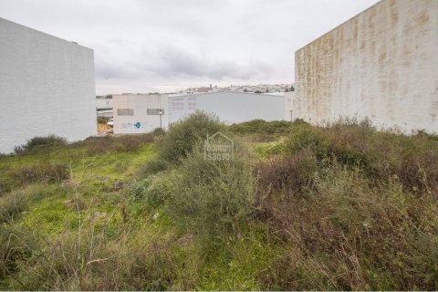 Land zum Verkauf in Alaior, Menorca, Spanien Nr. 183241 - Foto 6