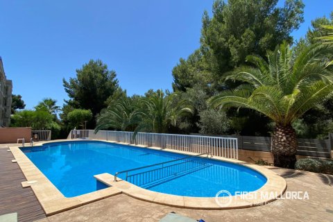Lägenhet för uthyrning i Palma de Majorca, Mallorca, Spanien 3 sovrum, 120 kvm. Nr. 182656 - foto 12