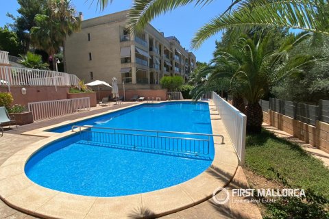 Lägenhet för uthyrning i Palma de Majorca, Mallorca, Spanien 3 sovrum, 120 kvm. Nr. 182656 - foto 11
