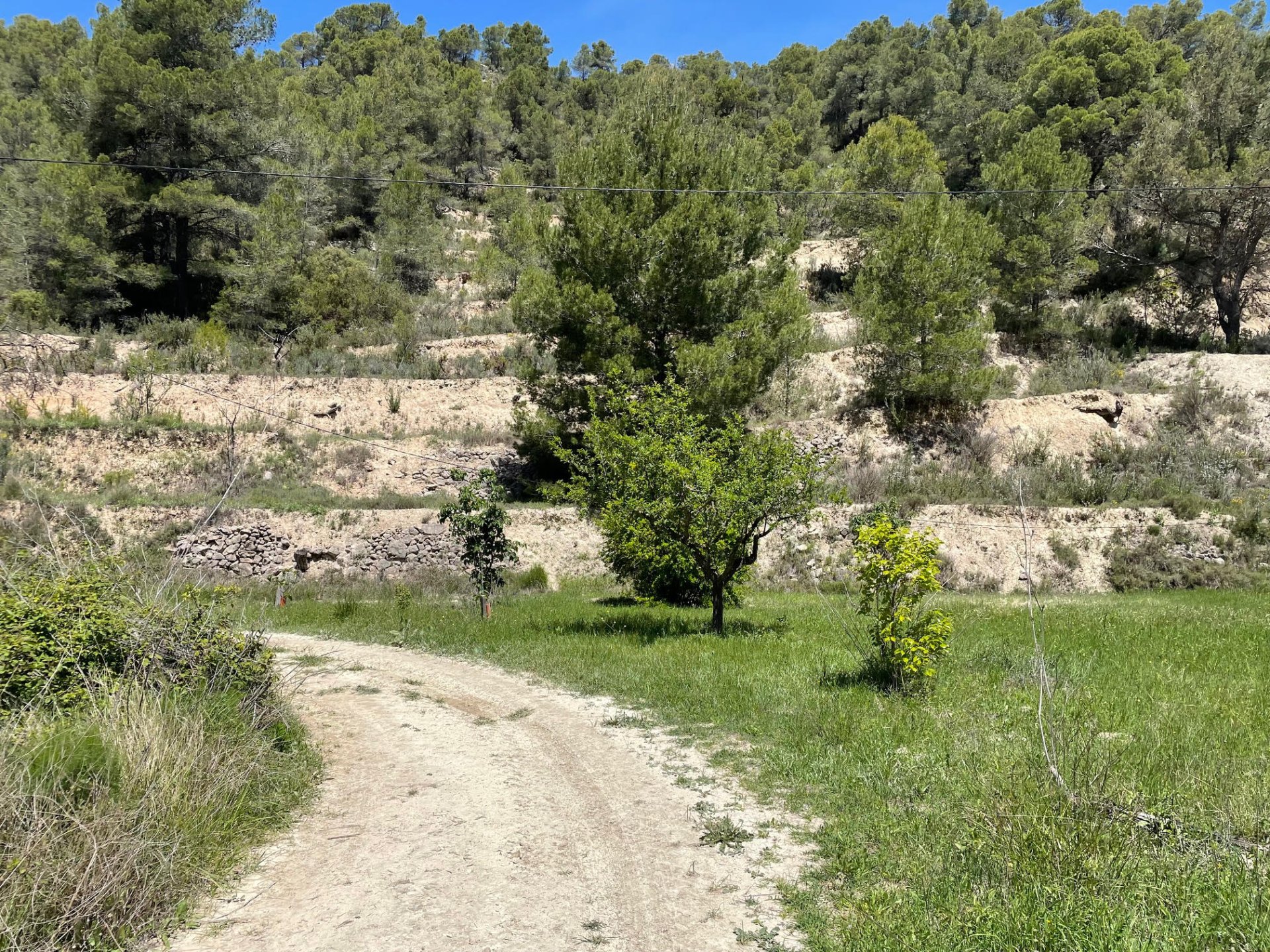 Terreno a Relleu, Alicante, Spagna 15514 mq. N° 192517